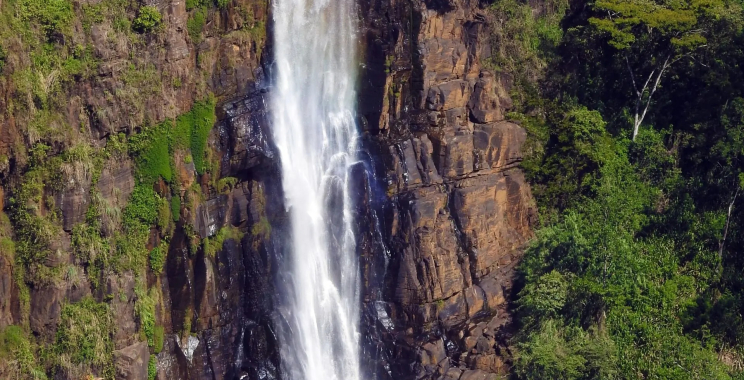 Experience Sri Lanka: Tailored Getaways for Every Traveller