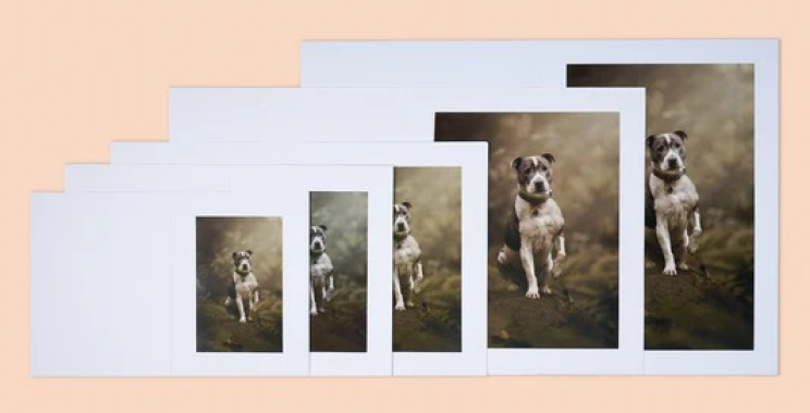 Elegant Keepsake Photo Album for Your cherished memories