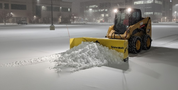 Lush, Healthy Lawns in Eden Prairie with Expert Care