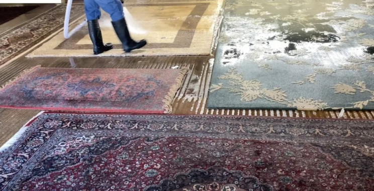 Refresh Your Home with Expert Rug Cleaning Services