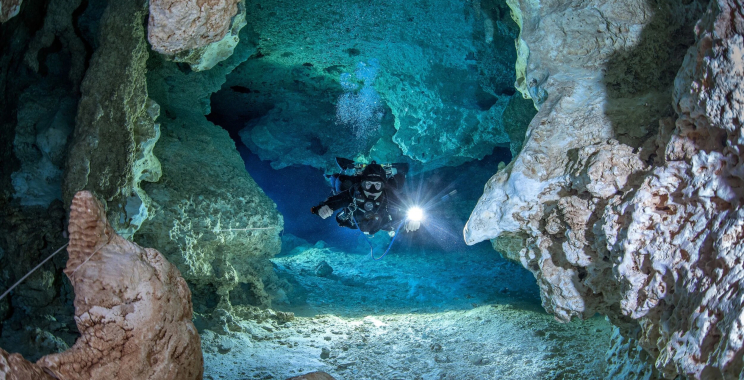 Dive into Mexico’s Hidden Freshwater Caves: A Guide