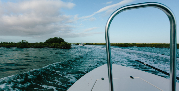Chase Bonefish on the Flats: A Dream Fly Fishing Escape