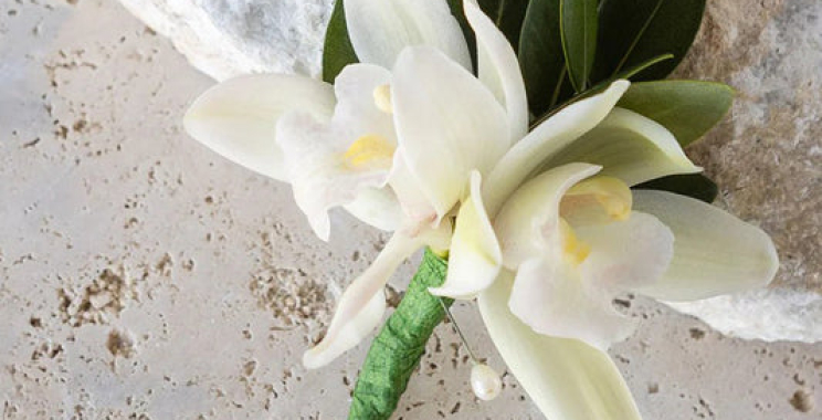 Thoughtful Floral Creations for Every Occasion in NZ