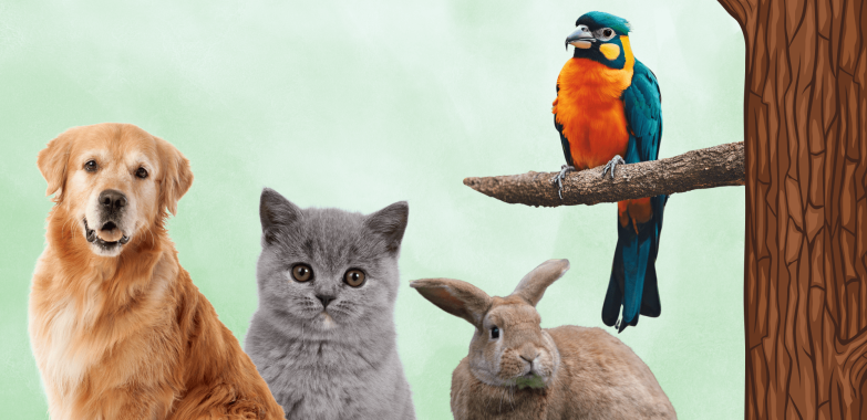 Top Veterinary Care in Doha: Trusted Pet Doctors You Can Rely On