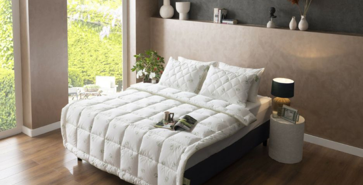 Discover Premium Cotton T-Shirts for Women in the USA