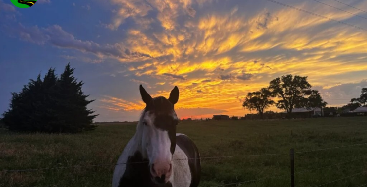 Chase the Sky: Epic Storm Photography Tours
