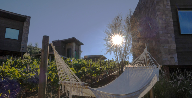 Escape to a Chic Boutique Stay in Valle de Guadalupe | UK English