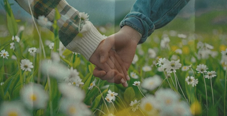 Balanced Day Creams for Oily–Dry Skin Online