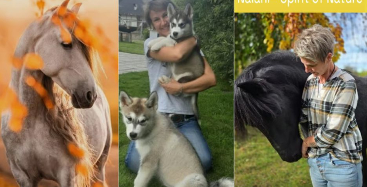 Ganzheitliche Unterstützung für traumatisierte Hunde: Wege zur Heilung und Stärkung der Bindung