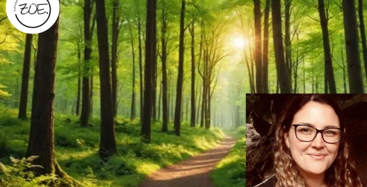 Support for student wellbeing at university clinics and campuses