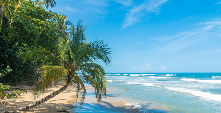 Navigating Dubai Property Purchases: A Practical Guide