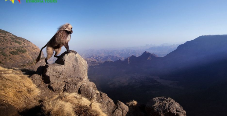 Discover Ethiopian Wonders: Tailored Tours from Addis Ababa