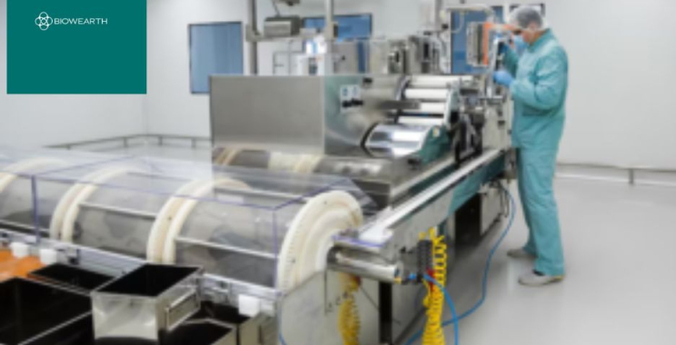 Premium Mineral Powder for Health and Formulations