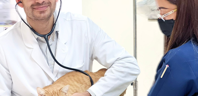 Trusted pet care centre in Qatar for healthy, happy companions