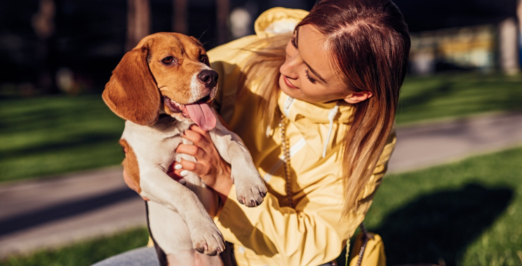 Compassionate at‑home end-of-life care for your cherished pet